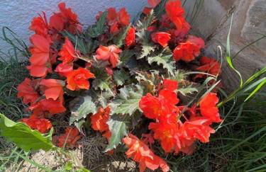 Nature House - Foto 12