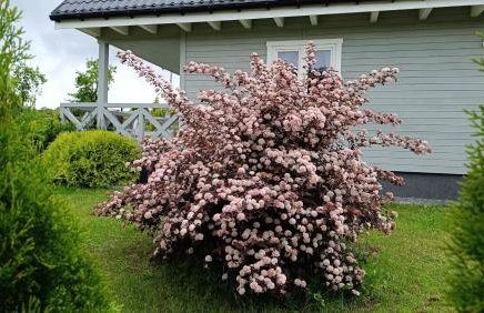 Szary domek nad jeziorem SEA & LAKE - Photo 44