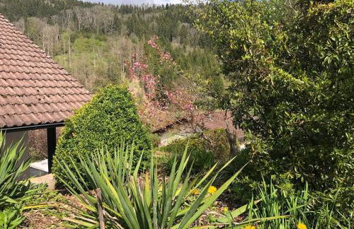 Apartment Waldglück - Photo 6