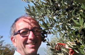 Vigna del Poggio - Foto 39