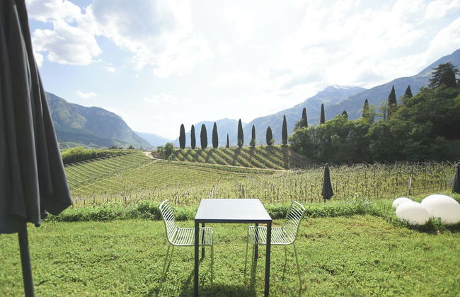 Agritur Casteller - Foto 75