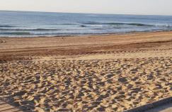 primera linea acapulco III - Photo 21