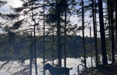 La Forêt suspendue - Gîte nature sur 9ha - option Spa avec vue panoramique - Foto 39