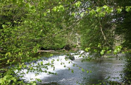 Gîtes LES Fougeres DU LAC - Foto 43