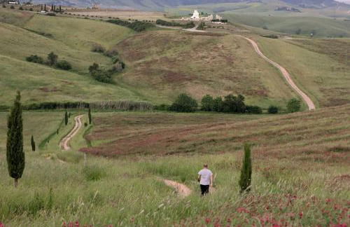 Podere Quercia al Santo - Foto 35