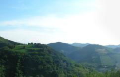 Villa Podere Quartarola - Foto 41