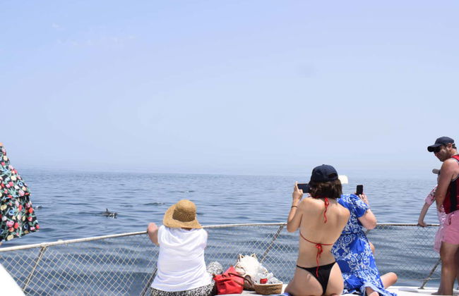 Balade en bateau dans la baie d'Estepona - Photo 11