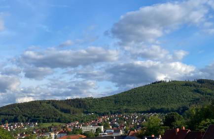 Froeschlein - no craftsmen fitters - Foto 13