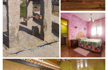 Don Mauricio y periquines - Foto 33