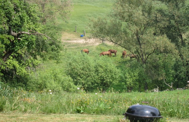 Dreamy Holiday Home With Pool, Garden, Roof Terrace, BBQ - Foto 40