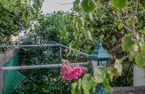 Casa dos Amigos - Photo 27