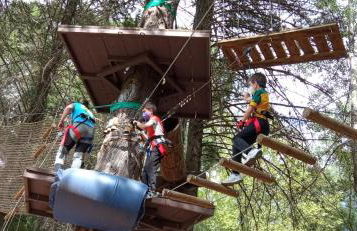 Casa Monte Los Peñasquitos - Photo 39