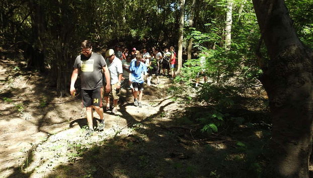 Birdwatching at the San Rafael Estate - Foto 4