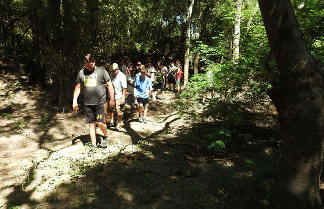 Birdwatching at the San Rafael Estate - Foto 4