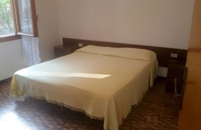 Parco delle Viole - Foto 49