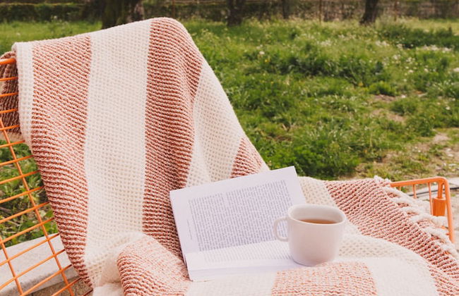 Chão do Ribeirinho, Castelo Branco - Photo 18