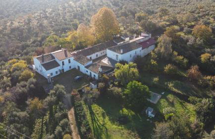 Cortijo San Julián - Foto 55