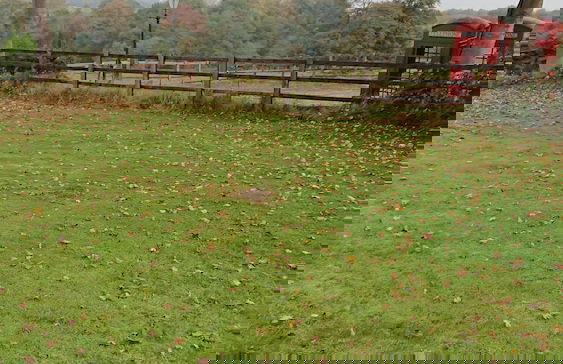 Open Plan Studio by Alton Towers - Foto 8