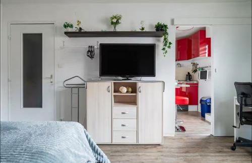 Petit Oasis à Strasbourg - Foto 9