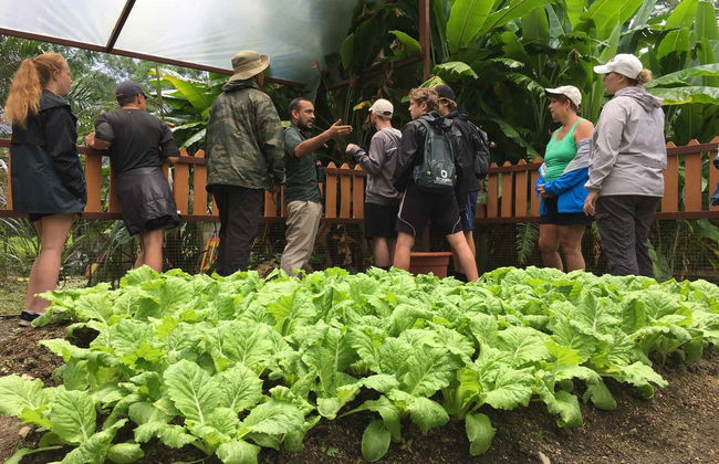 Quepos Food Tour & Cooking Class - Photo 10
