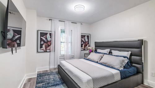 Designer Sun Filled Condo - Walk to Town - Photo 5