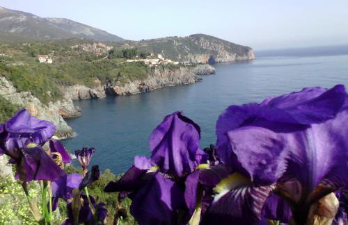 Kapetaniou Apartments - Foto 35