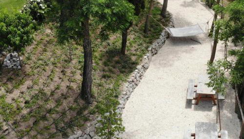 Agriturismo Ferrari - Foto 3