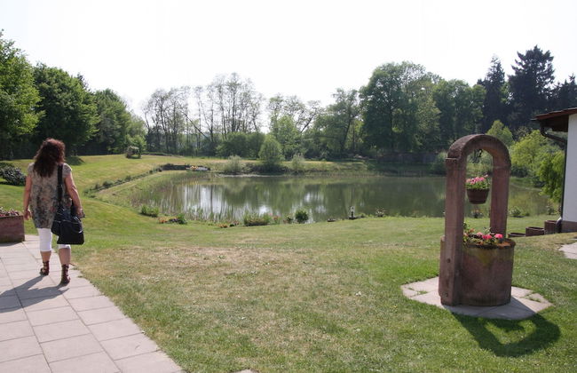 Apartment Straßbourg - Europapark - Foto 21