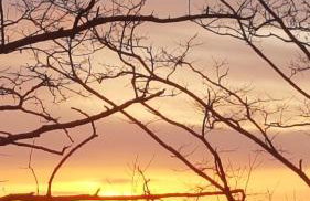 Dom Na Skarpie - Ucieczka Na Wieś - Samodzielne wejście na szyfr, 100m2 - Foto 42