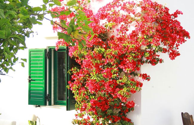 Villa Stefania with Pool - Photo 38