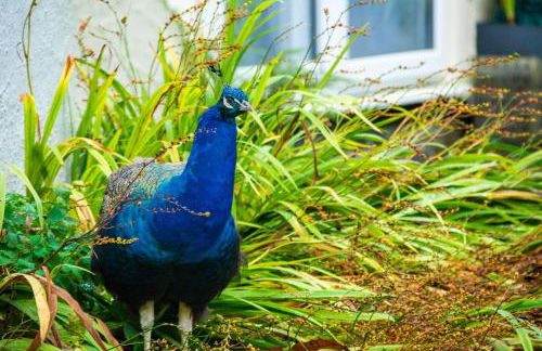 Marine Apartment - Foto 18