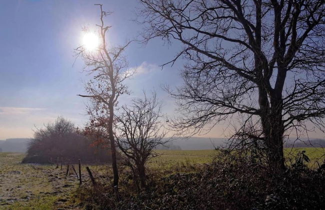 Holiday Home in Somme-leuze With Private Garden - Foto 41