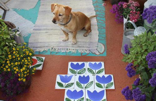 Pod tulipanem nad jeziorem - Foto 60