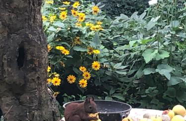 Studio im Haus Amselgarten - Foto 27