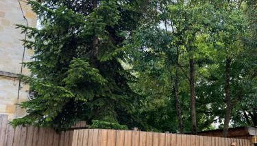 BLB Loft Luxury House - Foto 5, Garden, Garden view