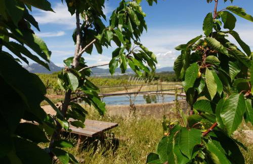 Domaine de la Navicelle - Foto 29