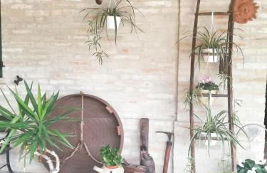 Casa vacanza Flora - Foto 19