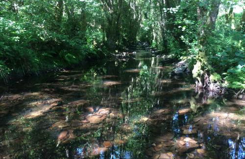 La Posada de Oscos - Foto 44