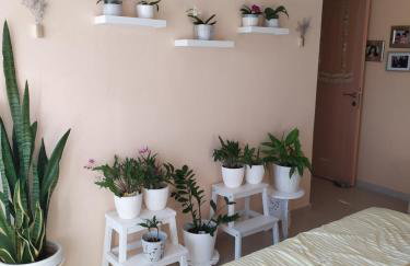 Luxury apartment in front of the Sea in Agia Triada - Foto 31