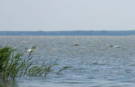 Haus Schilfkante - Wohnung 2 - Foto 31