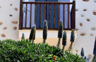 Good Life Greece Eco Villas - Foto 64