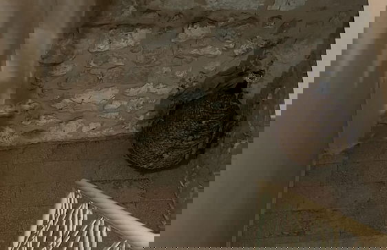 Casa Torre Metabo in Villa Santo Stefano - Foto 47