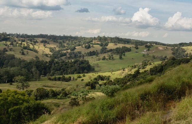 The Ridge at Maleny - Photo 25