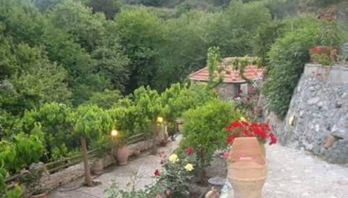 Angela's River Paradise Cottages - Foto 3, Garden, Garden view