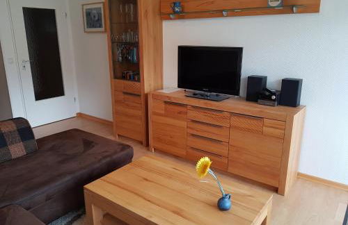 Sonnenblume - Photo 8