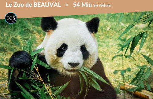 "Bambou Zen" - 5 couchages - Vieux Tours - Foto 40