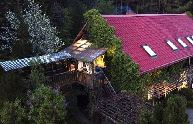 Holiday Home in Rozewko With Pool and Orchard - Photo 23