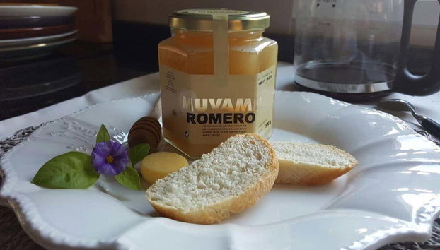 Visita al Museo Valenciano de la Miel - Photo 5