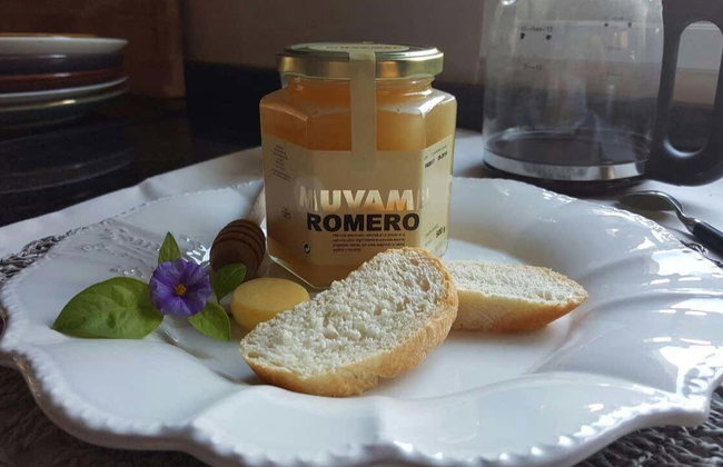 Visita al Museo Valenciano de la Miel - Foto 5