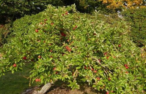 Ferienhaus Sturmfrei auf Fehmarn - Foto 25